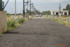 DSC50627