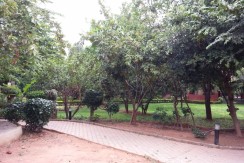 20150720_160627 (800x600)