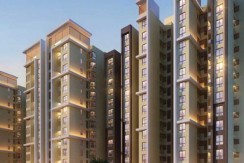 Mahaveer Cygnet 1